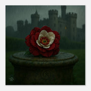 38066263-7ab5-410b-9aca-e00deaf922c9