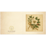 75eef198-cb31-44ce-80b0-0d66f1ec4f14