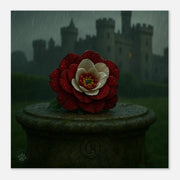 ac115922-4fb4-48b5-b9e2-85f1c9946d0a