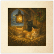 d79ddd5e-59cb-4cd6-90ba-88a8389ee855