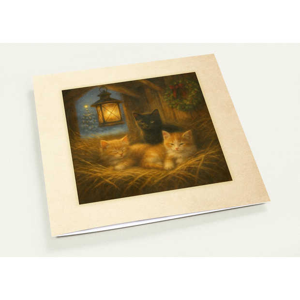 ec068859-98f7-4c41-acf6-b93d71f00d16